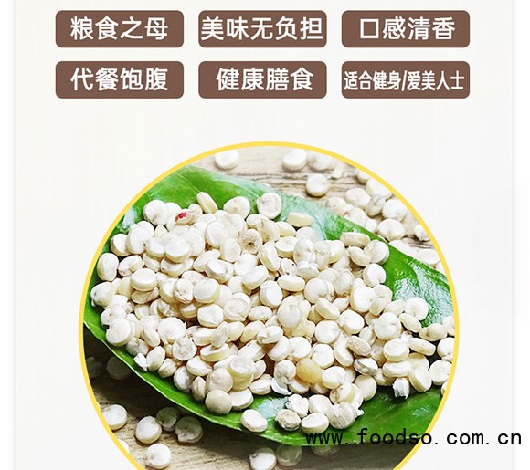 佰恩氏玉米汁植物飲料330ml 佰恩氏玉米汁植物飲料330ml