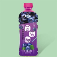 750ml藍(lán)莓