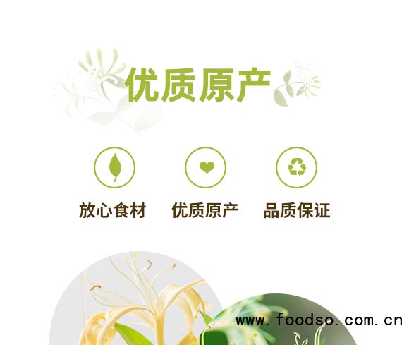 王老吉金銀花植物飲料 王老吉金銀花植物飲料