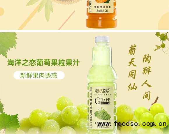 海洋之戀果粒果汁飲料 海洋之戀果粒果汁飲料
