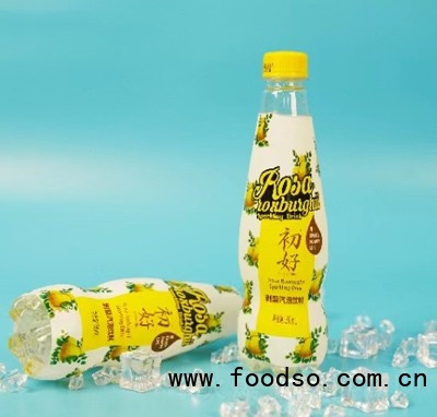 初好刺梨汽泡飲料380ml夏季冷飲商超貨源瓶裝辦公室休閑飲品
