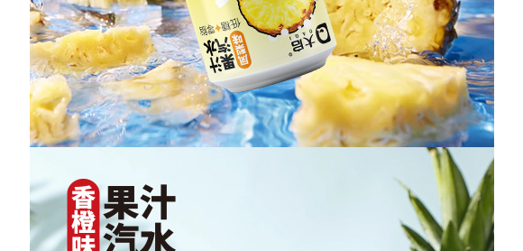 廣東大啟食品有限公司--產(chǎn)品畫冊鳳梨_10 廣東大啟食品有限公司--產(chǎn)品畫冊鳳梨_10