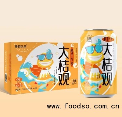 春都漢斯桔子汽水330mlX6罐X4組